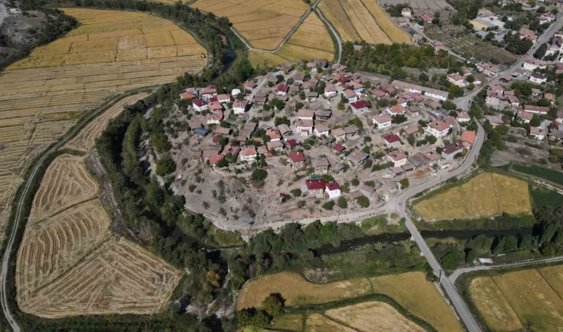 Kastamonu’nun Tosya ilçesinde hasadı devam eden coğrafi işaretli çeltikte sulama