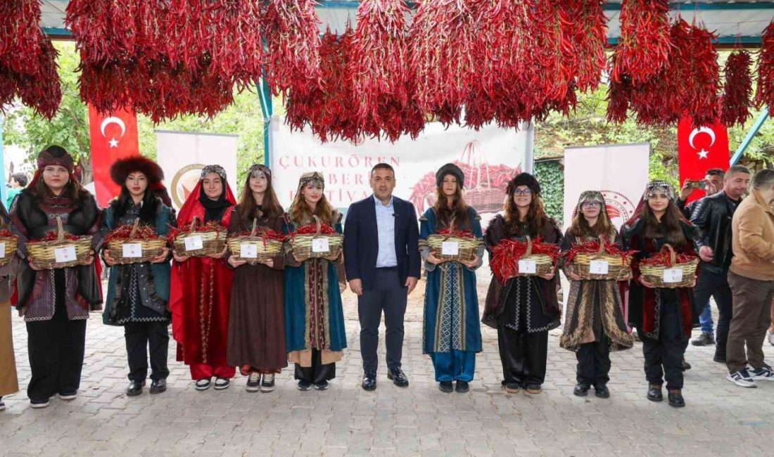 Bilecik’te 160 yıldır aynı ata tohumundan yetiştirilen ve Türk Patent