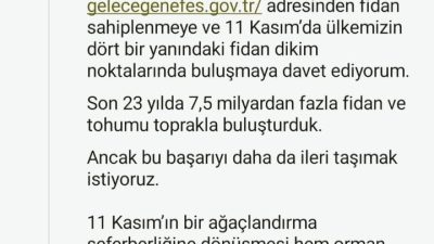 Cumhurbaşkanı Recep Tayyip Erdoğan, 11 Kasım Milli Ağaçlandırma Günü kapsamında