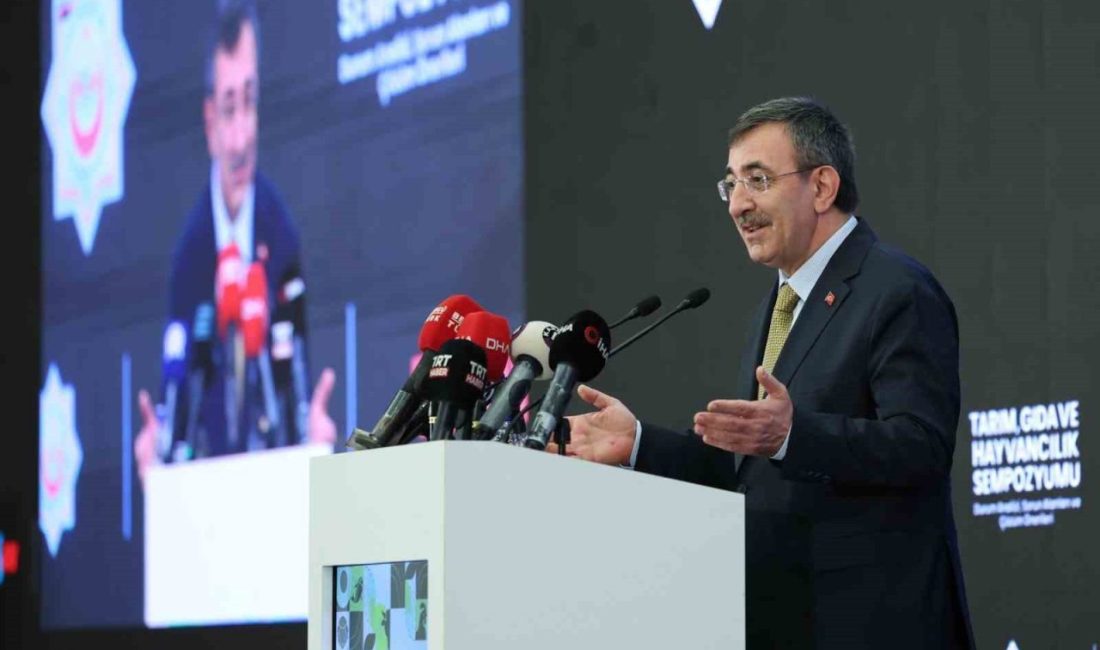 Cumhurbaşkanı Yardımcısı Cevdet Yılmaz, “2026 Merkezi Yönetim Bütçe Kanun Teklifimizde,