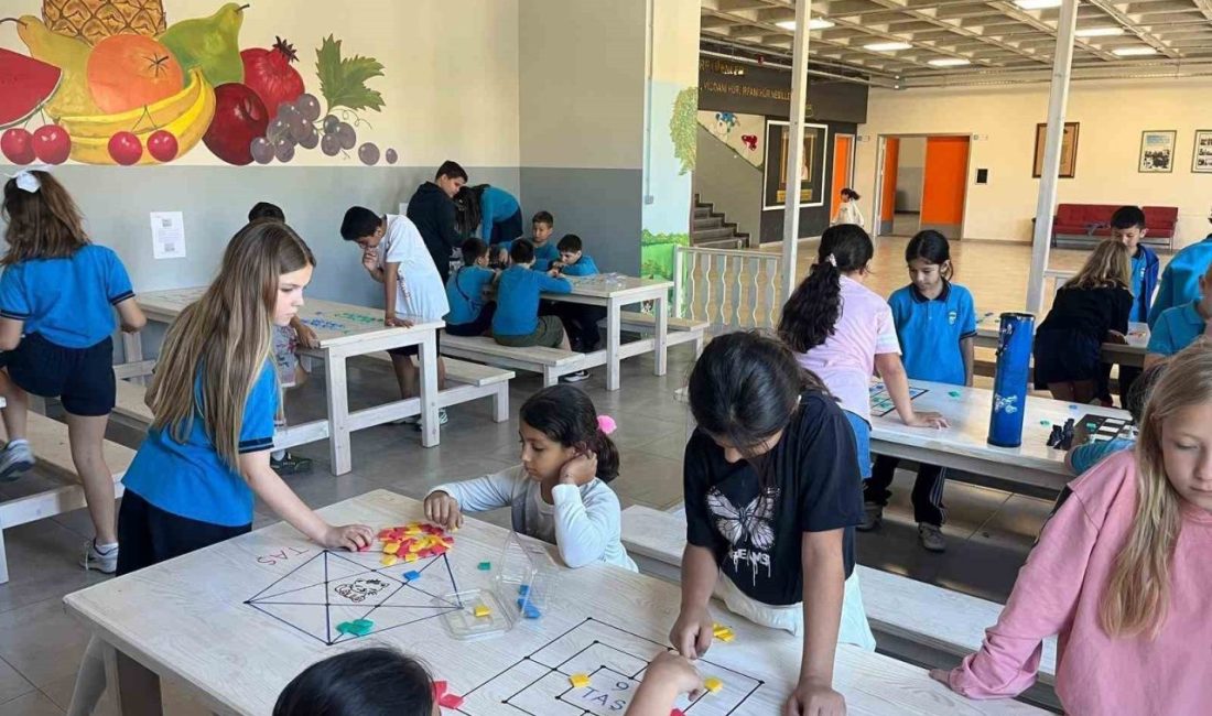 Datça’daki üç okul, Muğla genelinde düzenlenen proje yarışmasında farklı kategorilerde