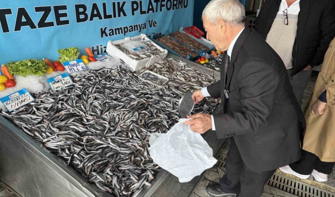 Son zamanlarda mevsim şartlarının da etkisiyle avlanmaya çıkan balıkçılar, tonlarca