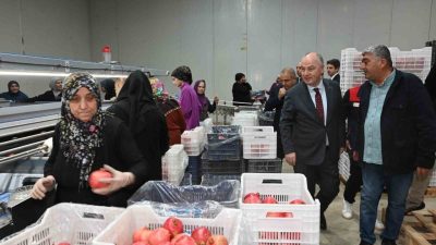 25 dekar alanda yapılan üretim ile Türkiye’nin 5’inci nar deposu