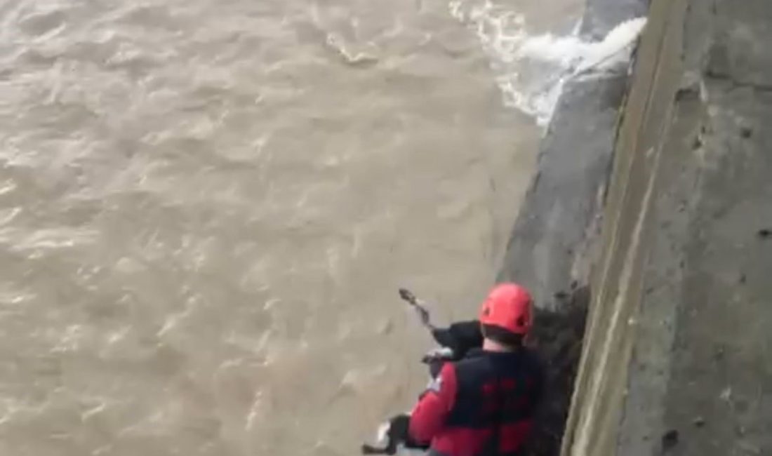 Trabzon’un Çarşıbaşı ilçesinde dere yatağında mahsur kalan köpek, itfaiye ekiplerinin