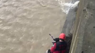 Trabzon’un Çarşıbaşı ilçesinde dere yatağında mahsur kalan köpek, itfaiye ekiplerinin