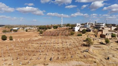 Mardin’in Ömerli ilçesinde atıl durumdaki tarım arazileri, modern bağcılık projesiyle