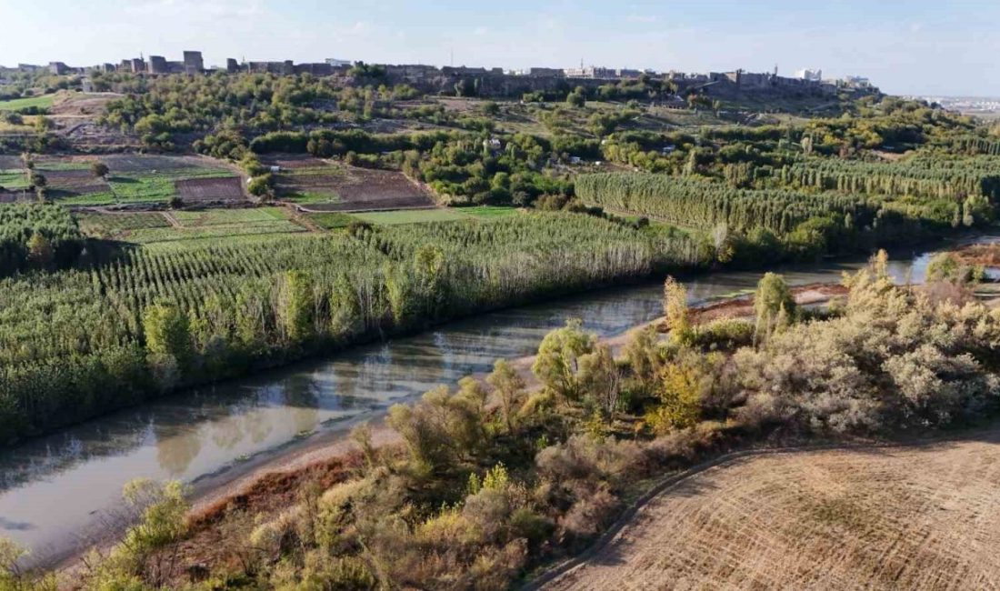 Dicle Nehri’nin Diyarbakır’dan geçen bölümünün 100 kilometrelik kısmının kanuni olarak