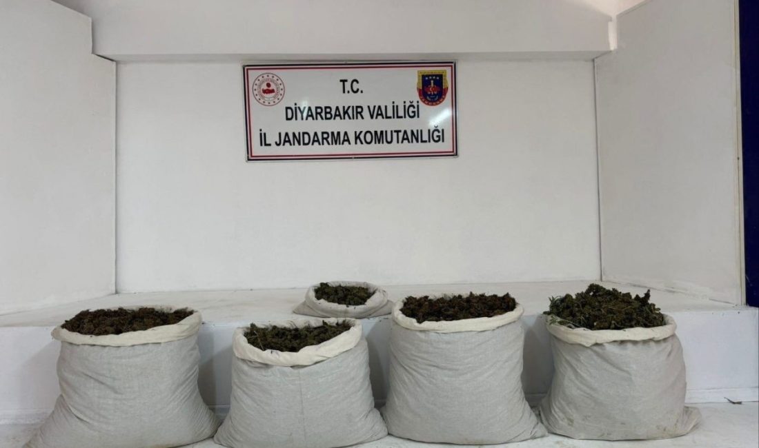 Diyarbakır’da 93 kilo uyuşturucu ele geçirildi Diyarbakır’da düzenlenen uyuşturucu operasyonlarında 51 kilo skunk, 42 kilo esrar