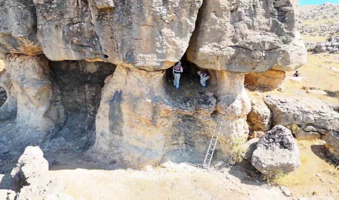 Diyarbakır’ın Çermik ilçesinde 10 yıl önce 27 yaşındaki Gülizar Bingöl’ü