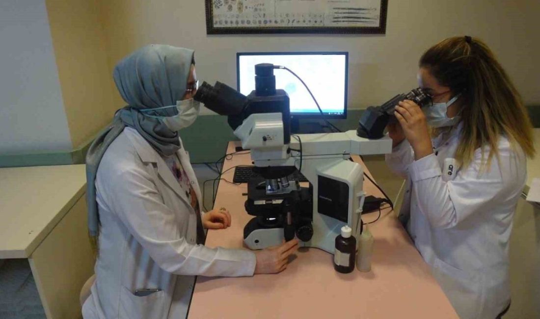 Doç. Dr. Ayşe Sağmak Tartar, halk arasında “Maymun Çiçeği” olarak