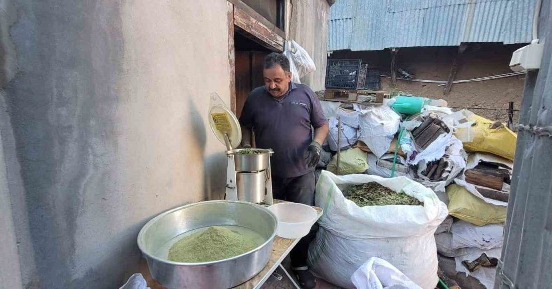 Erzincan’ın Kemaliye ilçesine has olan baharat türü Zetrin, 120 bitkinin