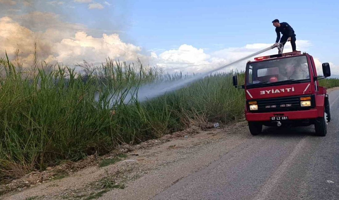 Antalya’nın Manavgat ilçesinde, çöp dökme yasağına rağmen atıkların bırakıldığı alanda