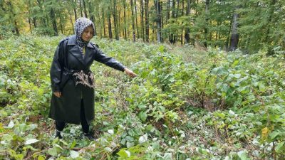 Kütahya’nın Domaniç ilçesinde genç girişimcinin hibe desteğiyle 3 yıl önce