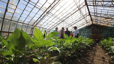 Doyran Mahallesi’nde düzenlenen “Obezite Farkındalık Etkinliği”nde, kadınlara sağlıklı yaşam ve