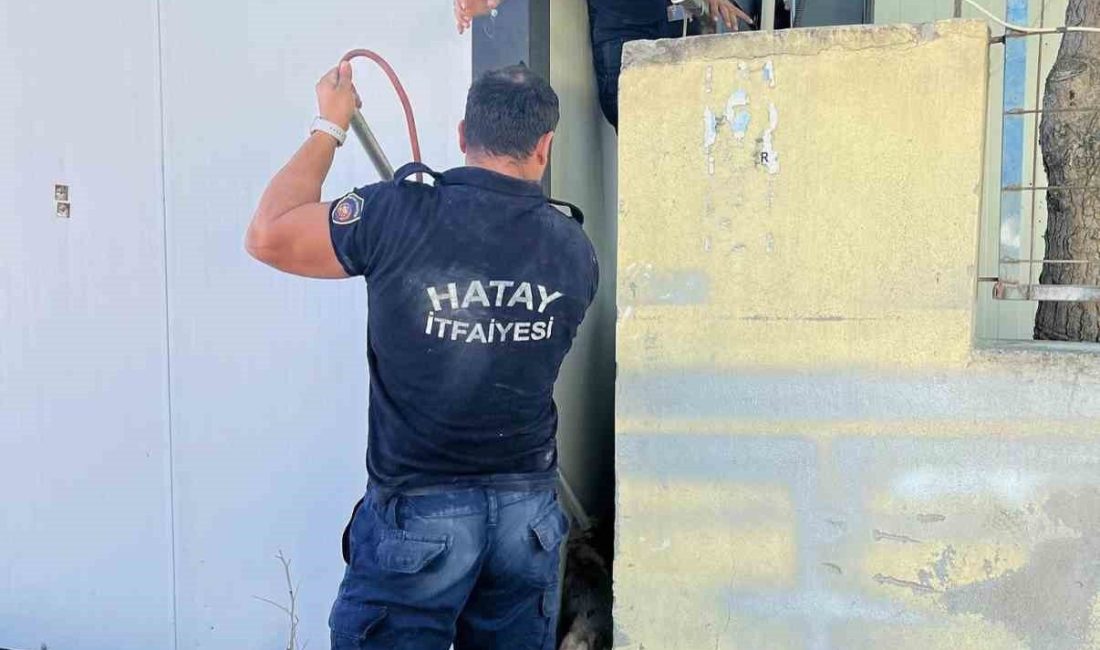 Duvar ile konteyner arasında sıkışan köpeği itfaiye kurtardı Hatay’da konteyner ve duvar arasında sıkışarak mahsur kalan yavru köpeği
