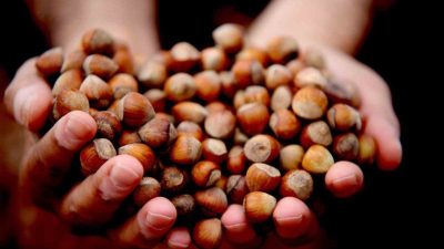 DÜZCE (İHA) – Düzce’den Avrupa Birliği (AB) ülkelerine dokuz ayda