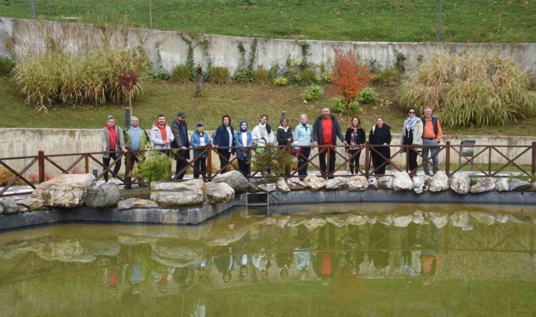 Düzce Üniversitesi Süs ve Tıbbi Bitkiler Üretim Uygulama ve Araştırma
