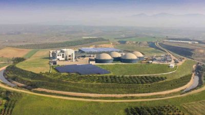 Yenilenebilir enerji sektöründe faaliyet gösteren Ecogreen Enerji Holding halka arzında