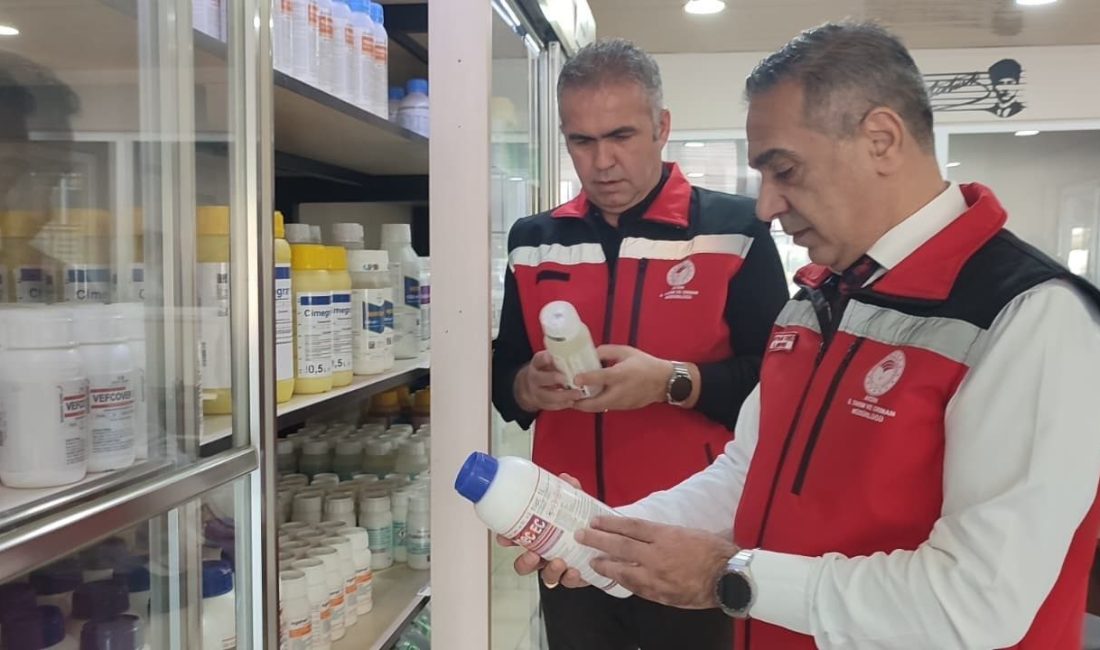 Aydın’ın Efeler ilçesinde sahaya inen il tarım ekipleri, zirai ilaç