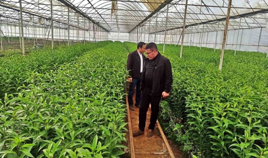 Emet’te üreticiler için Simav’daki seralara teknik gezi Emet İlçe Tarım ve Orman Müdürlüğünce ilçede seracılık faaliyeti yapmak