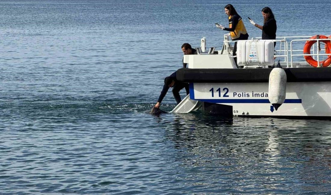 Balıkesir’in Erdek ilçesinde denizde erkek cesedi bulundu. Olay, Erdek ilçesinin