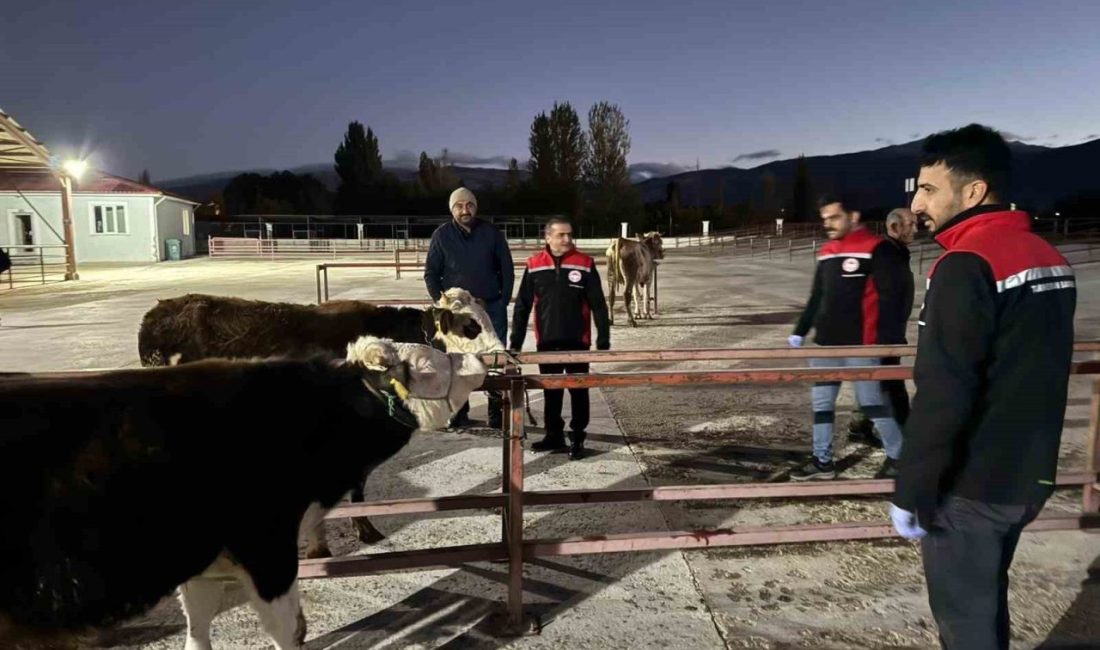 Erzincan canlı hayvan pazarı, alınan biyogüvenlik önlemleri ve tamamlanan şap