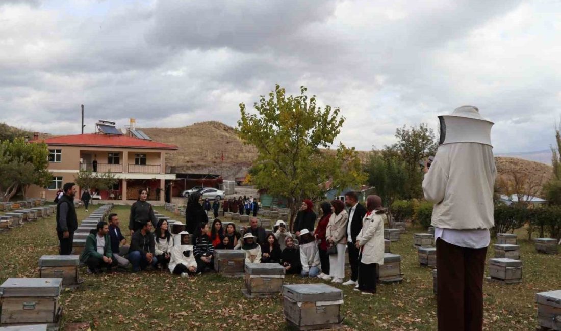 Erzurum’un Narman ilçesinde gençler deneyimli arıcılardan uygulamalı eğitim alarak sertifikalarını