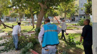 Eyyübiye Belediyesi, ilçedeki park ve yeşil alanları hem genişletiyor hem