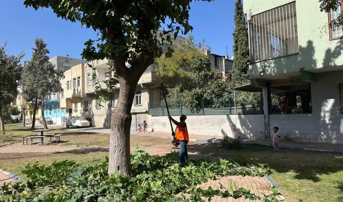 Eyyübiye’deki parklarda sonbahar bakımı Eyyübiye’de kişi başına düşen yeşil alan miktarını artırmak için çalışmalarına