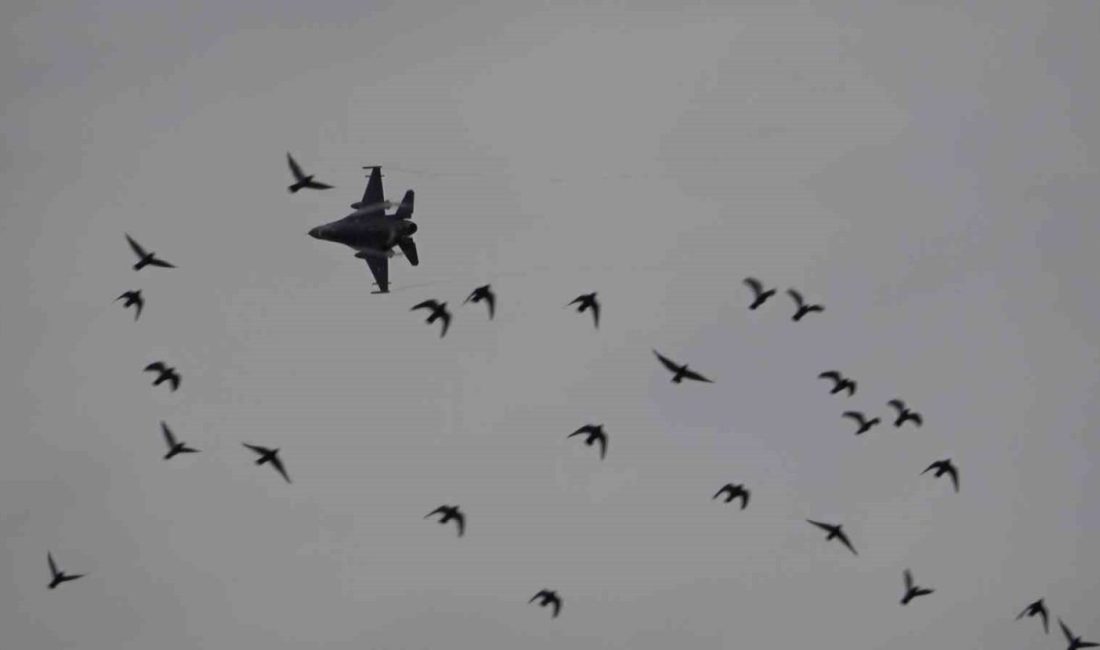 Türk Hava Kuvvetleri’nin en önemli vurucu gücü F-16 savaş uçakları,