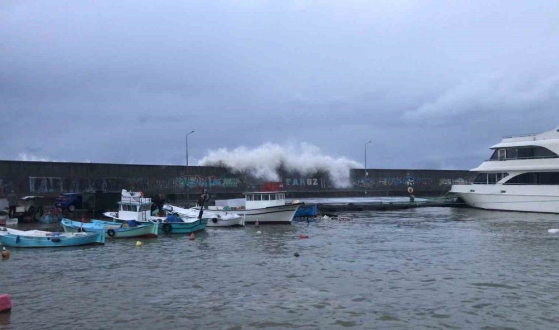Trabzon’un Faroz Limanı’nı şiddetli dalgalardan korumak için yürütülen dalgakıran çalışmaları