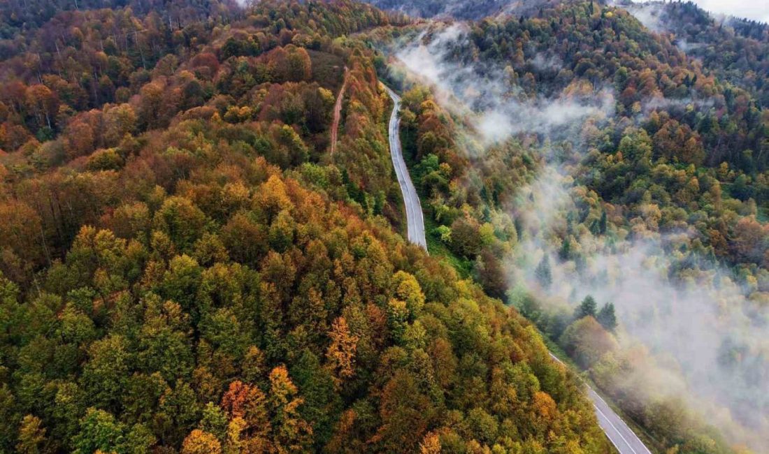 Sakarya’nın Hendek ile Kocaali ilçeleri arasında yer alan, dört mevsim