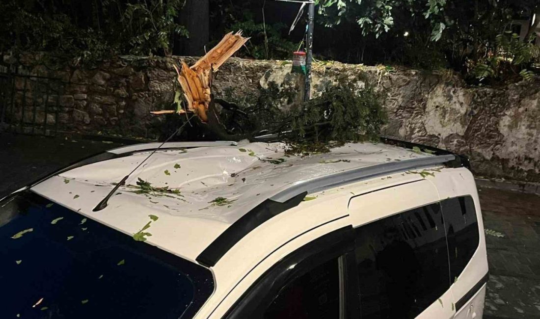 Antalya’da etkili olan fırtınanın etkisiyle kırılan ağaç park halindeki aracın