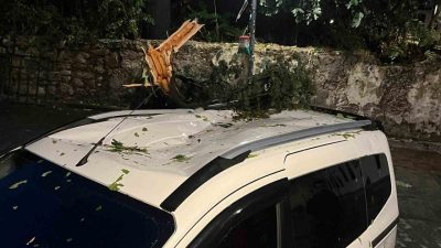 Antalya’da etkili olan fırtınanın etkisiyle kırılan ağaç park halindeki aracın
