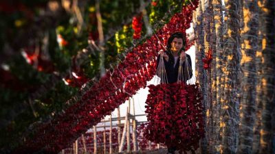 UNESCO Gastronomi Kenti Gaziantep’in geleneksel mutfak kültürünün vazgeçilmez simgeleri sebze