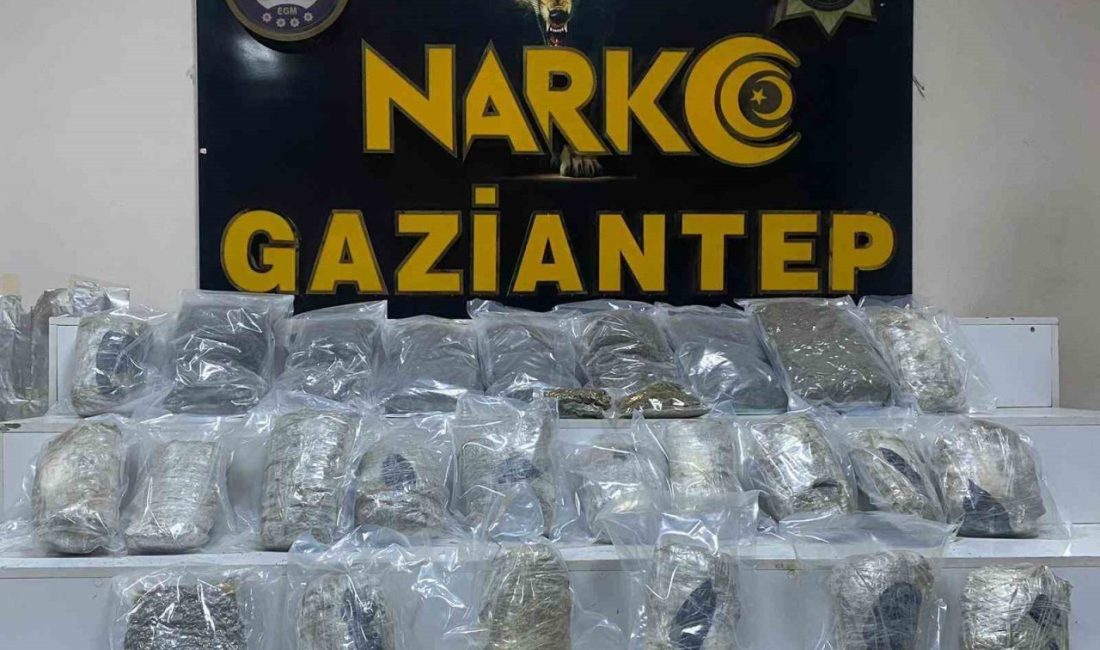 Gaziantep’te düzenlenen uyuşturucu operasyonlarında 13 kilo 450 gram skunk ele