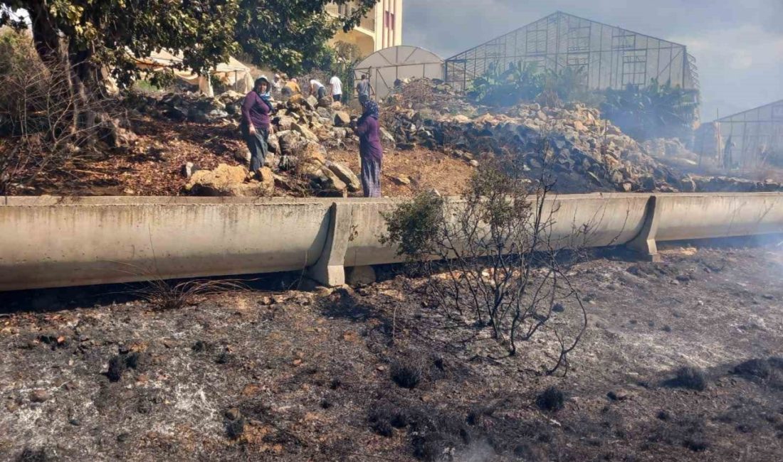 Antalya’nın Gazipaşa ilçesinde zirai alanda çıkan yangın, ekiplerin müdahalesiyle büyümeden