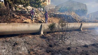 Antalya’nın Gazipaşa ilçesinde zirai alanda çıkan yangın, ekiplerin müdahalesiyle büyümeden