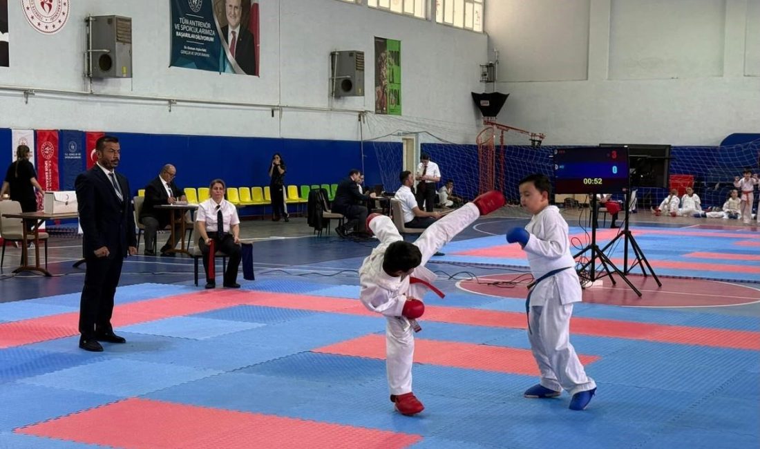 Genç sporcular hünerlerini sergiledi Cumhuriyet Bayramı etkinlikleri kapsamında tatamiye çıkan 250 sporcu, hünerlerini sergiledi.