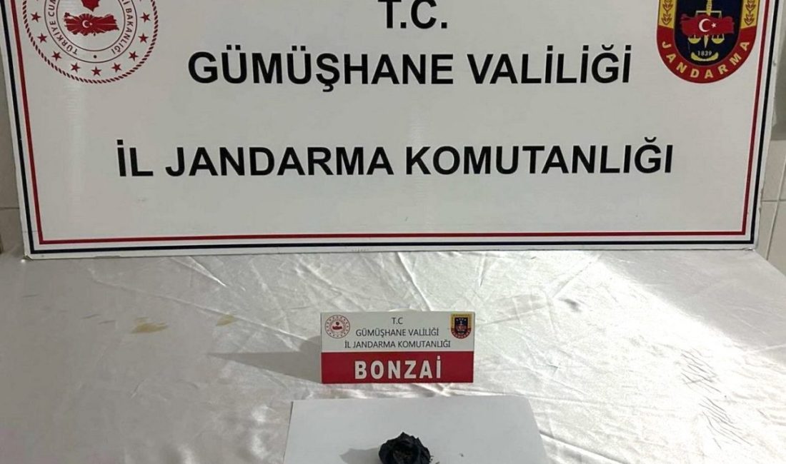 Gümüşhane İl Jandarma Komutanlığı ekiplerince Şiran ve Torul ilçelerinde düzenlenen