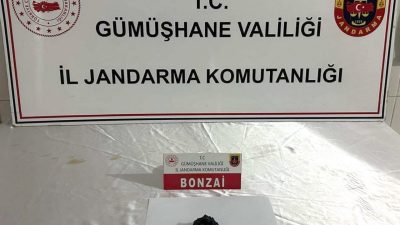 Gümüşhane İl Jandarma Komutanlığı ekiplerince Şiran ve Torul ilçelerinde düzenlenen