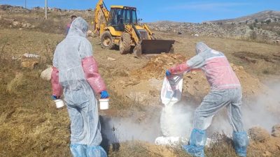 Gümüşhane’nin Kürtün ilçesinde şarbon hastalığı şüphesiyle 6 köyde hayvan giriş