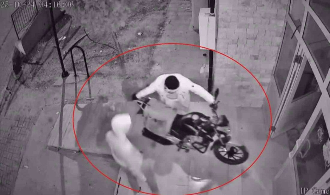 Hatay’da rahat tavırlarla girdikleri binadan motosiklet çalarak kayıplara karışan 2