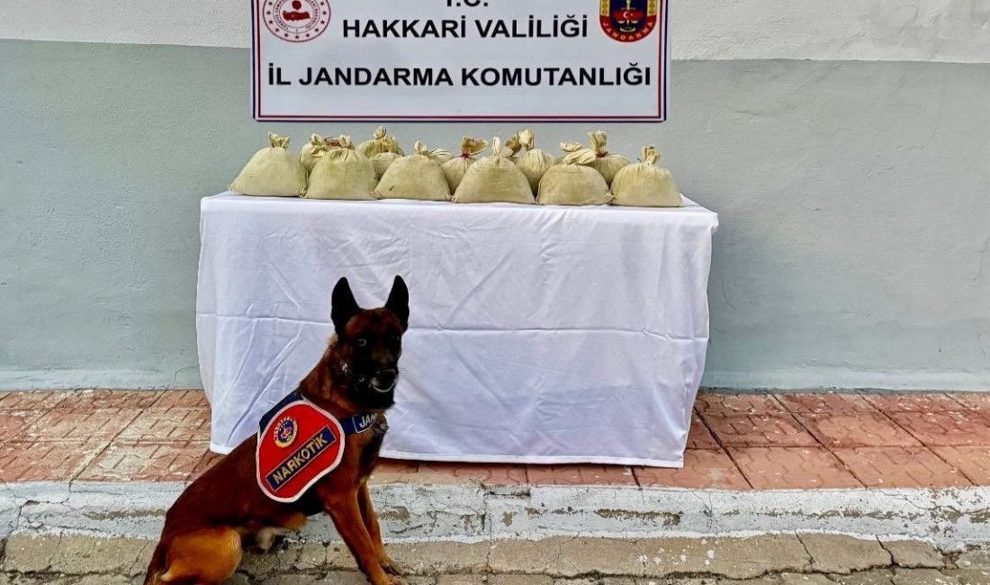 Hakkari’de jandarma ekipleri tarafından yapılan operasyonda 15 kilo 255 gram