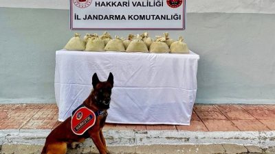 Hakkari’de jandarma ekipleri tarafından yapılan operasyonda 15 kilo 255 gram