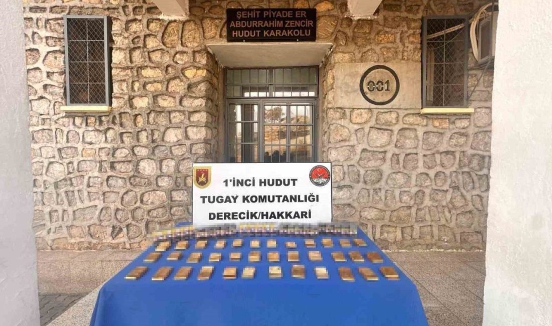 Hakkari’de güvenlik güçleri tarafından sınır hattında icra edilen faaliyetlerde 36