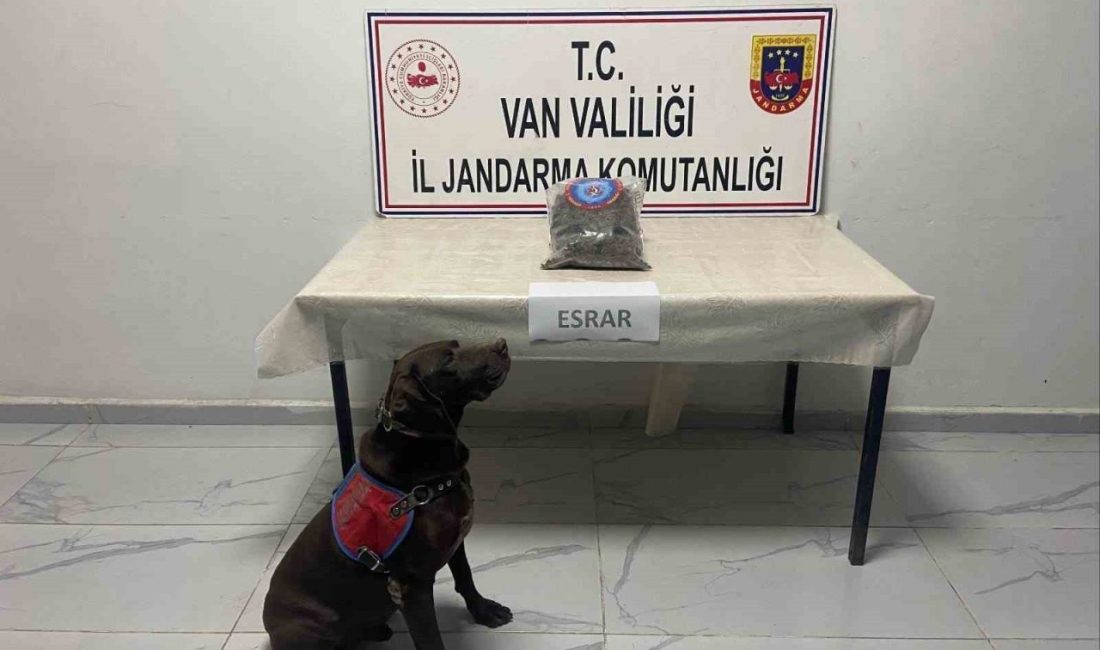 Hakkari’de kubar esrar ele geçirildi Van İl Jandarma Komutanlığı ekiplerinin Hakkari’nin Yüksekova ilçesinde müşterek olarak