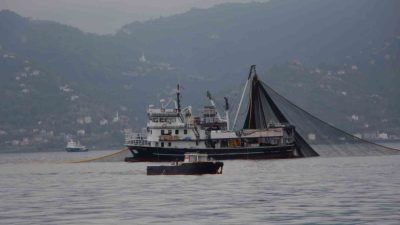 Karadeniz’de hamsi stokları alarm veriyor. Hem bölge balıkçılığı hem de