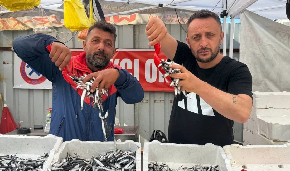 Zonguldak Merkez balık halinde yerli hamsinin kilosu 70 liraya düştü.