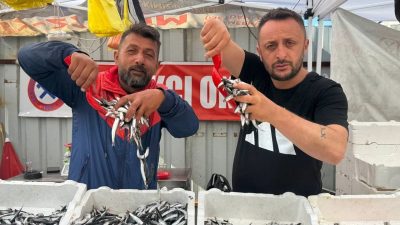 Zonguldak Merkez balık halinde yerli hamsinin kilosu 70 liraya düştü.